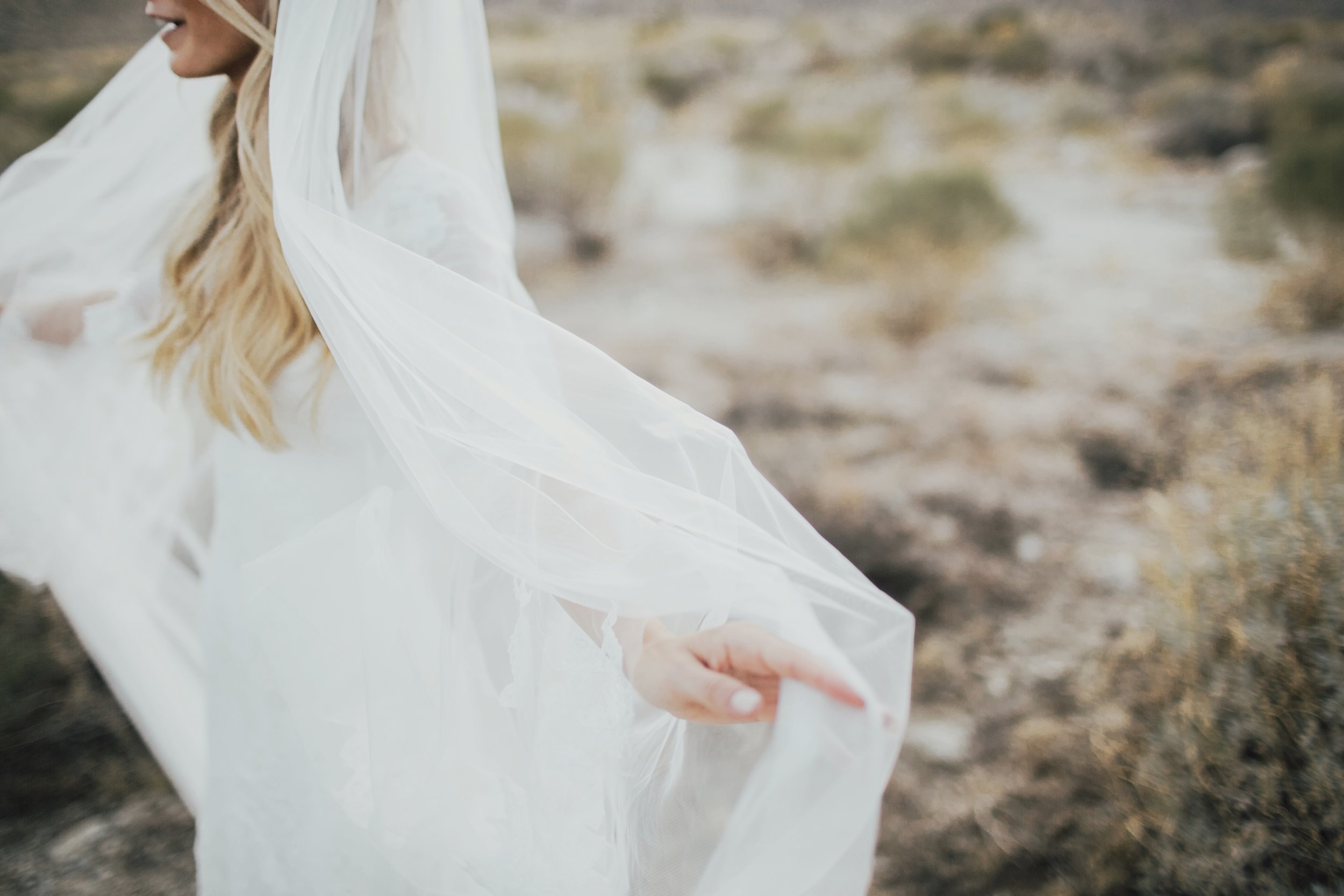 veil photography