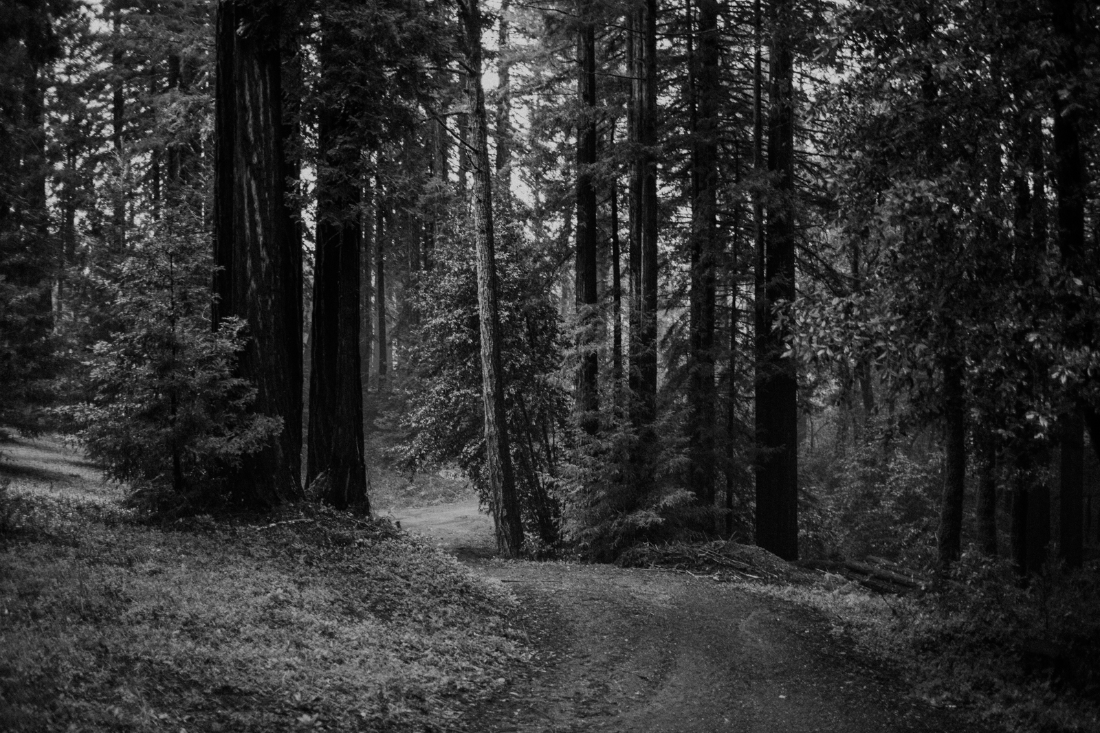 sf-wedding-19.jpg