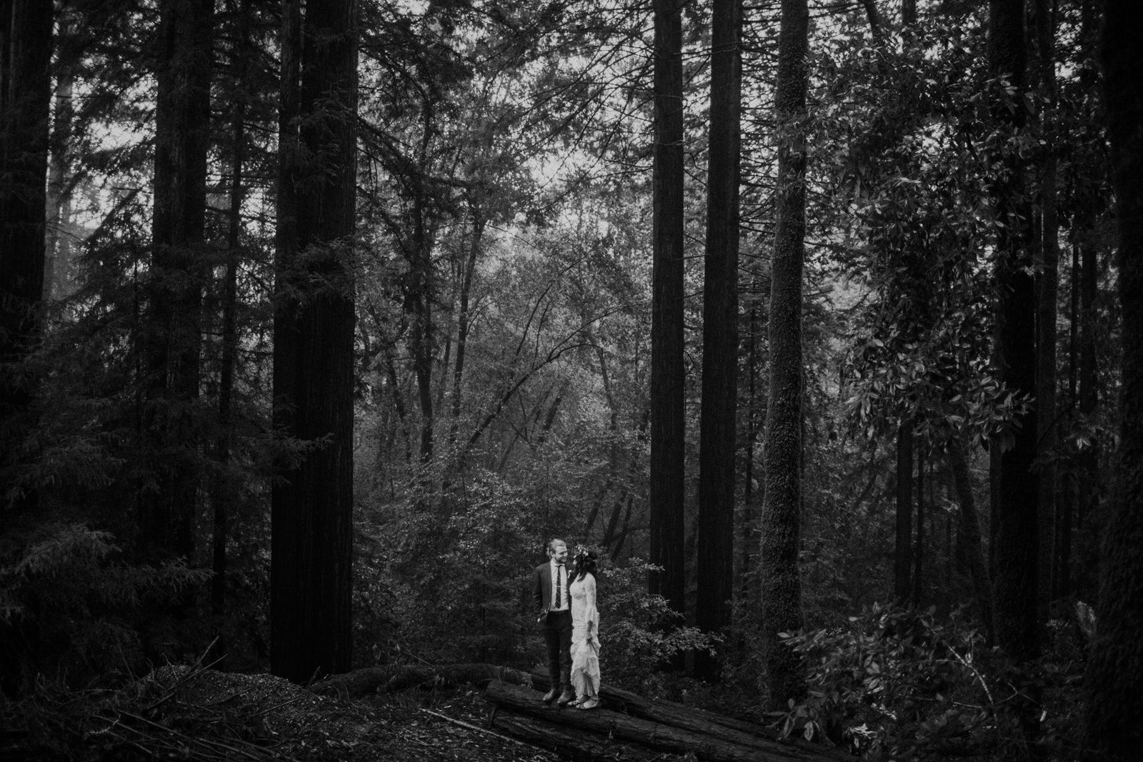 bride and groom in california forest